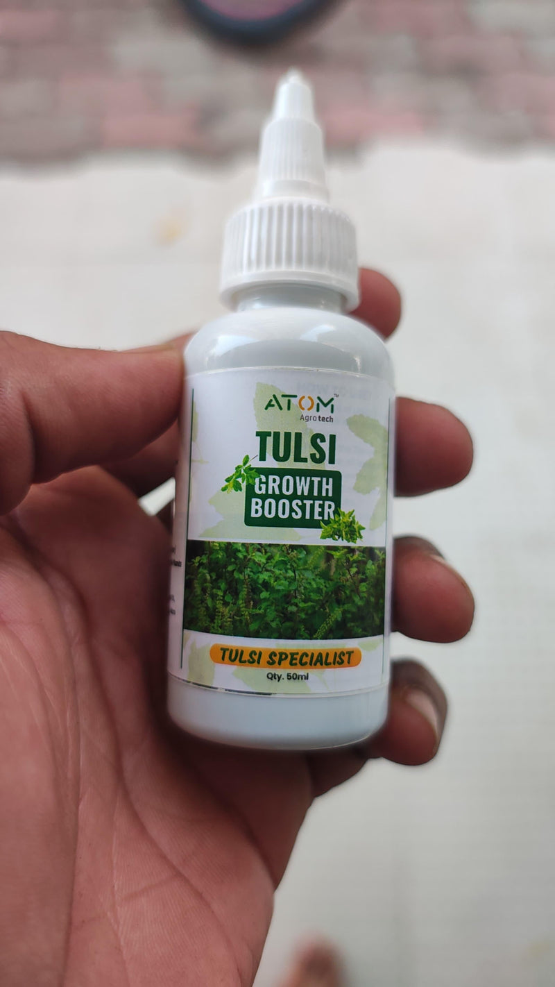 Tulsi Growth Booster Pack of 2